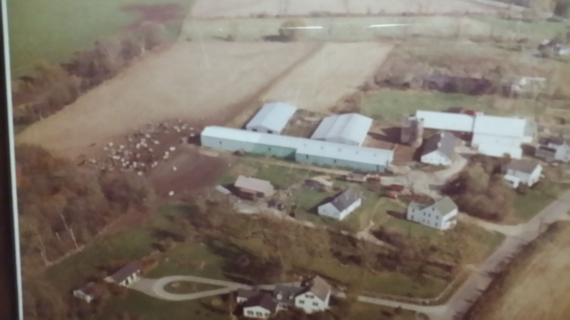 Watt Dairy Farm in Still River circa 1980.jpg